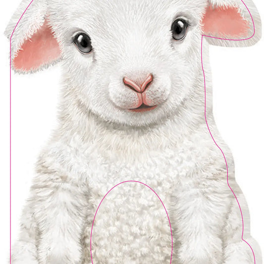 Furry Lamb Book