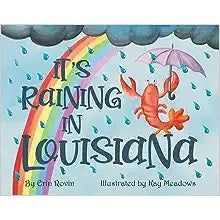 It's Raining in Louisiana Book